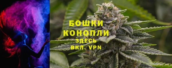 PSILOCYBIN Верхний Тагил