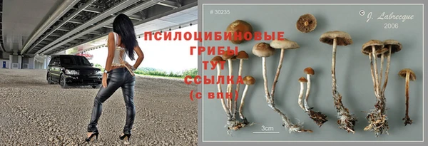 синтетический гашиш Богданович