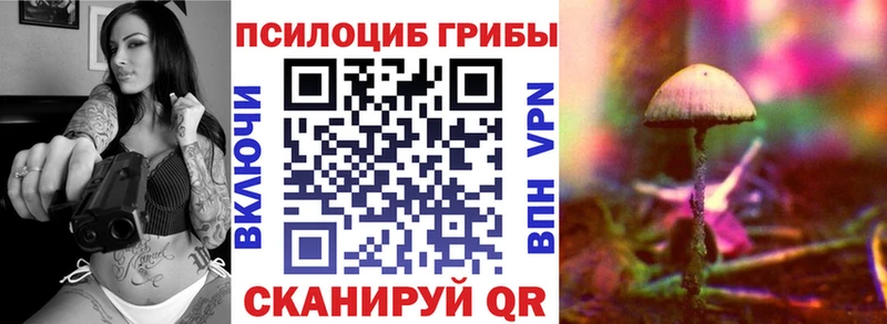 Псилоцибиновые грибы GOLDEN TEACHER  Изобильный 